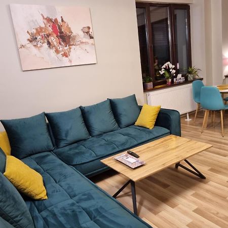 City Inn Premium Apartment Timişoara Exterior foto