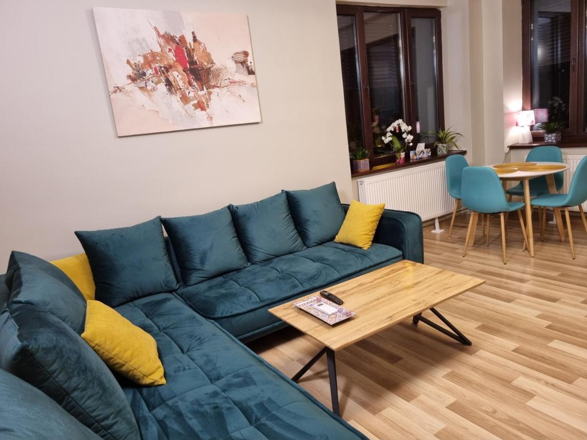City Inn Premium Apartment Timişoara Exterior foto